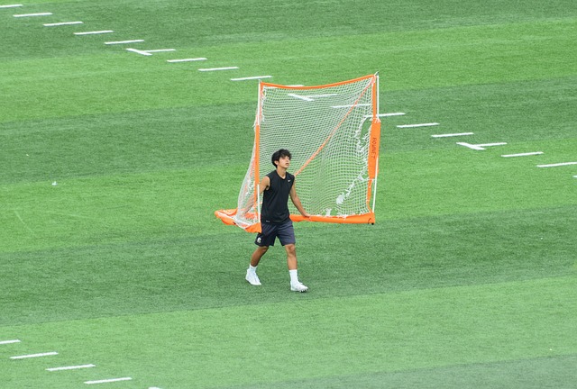 他们强调