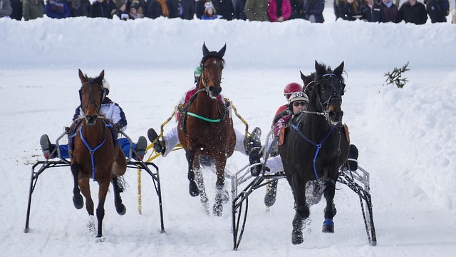 这位传奇球 这位传奇球