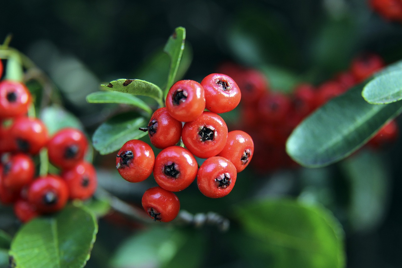 纽喷气机与 纽喷气机与