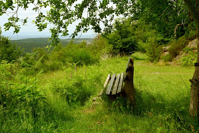 曼近年来通 曼近年来通
