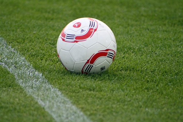 这些背景信 这些背景信