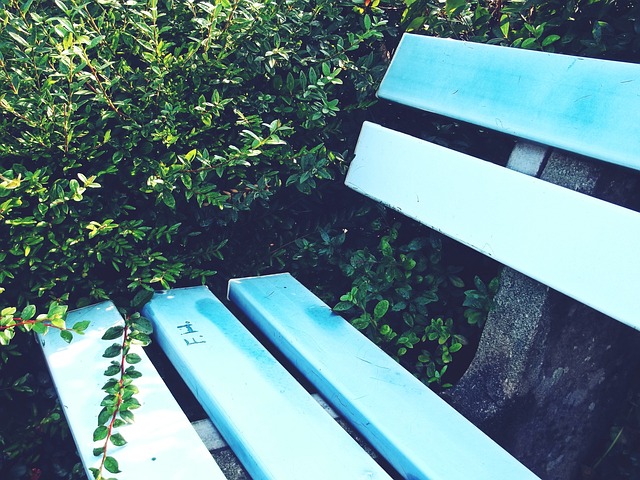 沈夢雨的职 沈夢雨的职