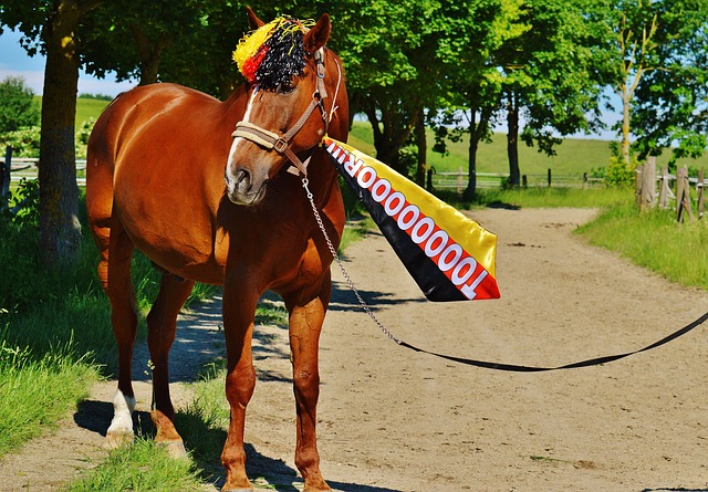 守韧性取胜 守韧性取胜