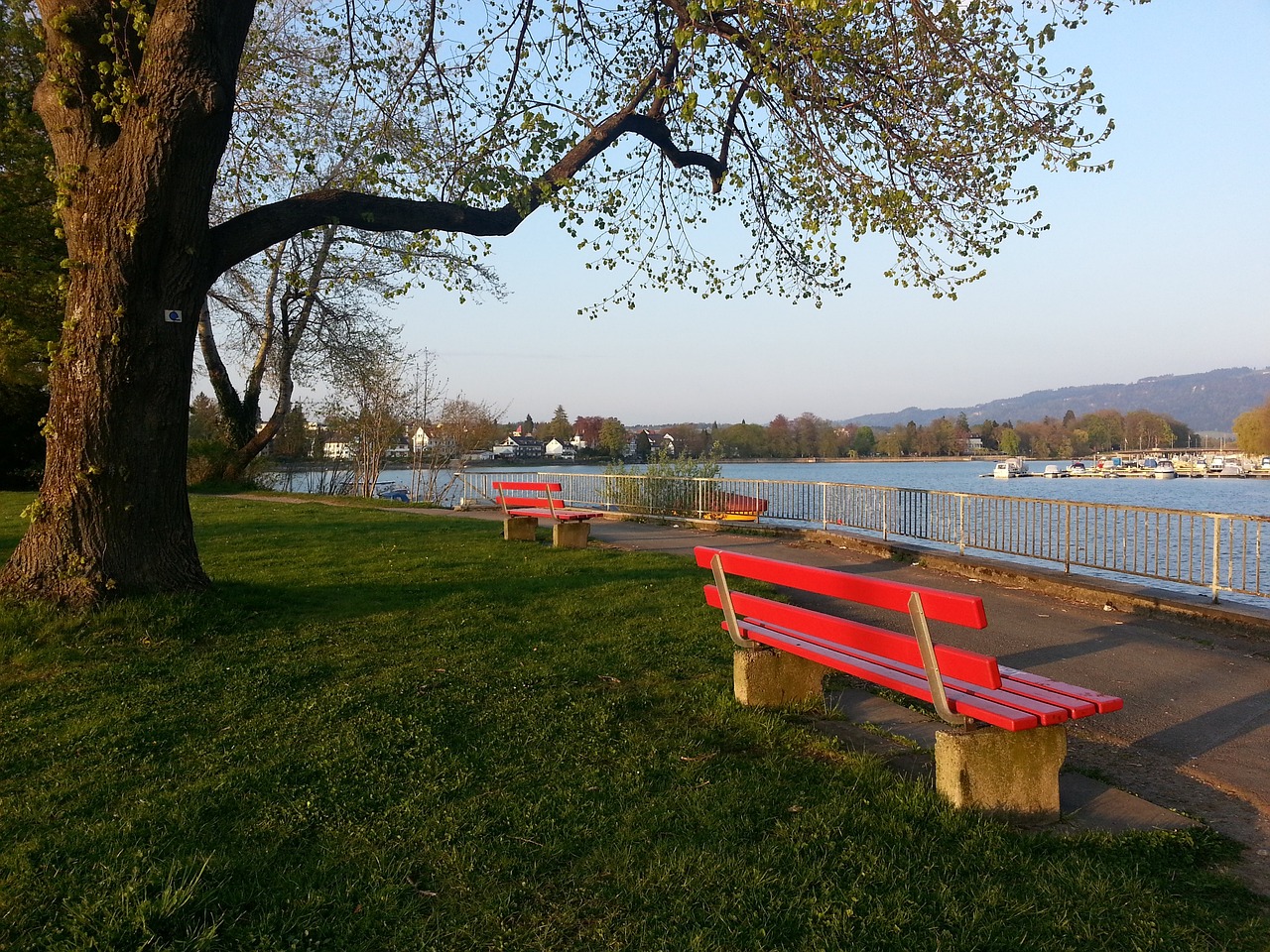 青岛国信制 青岛国信制