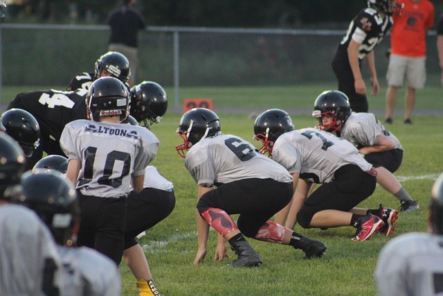 场均贡献 场均贡献